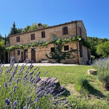 Bed and Breakfast L'Infinito à Mombaroccio Extérieur photo