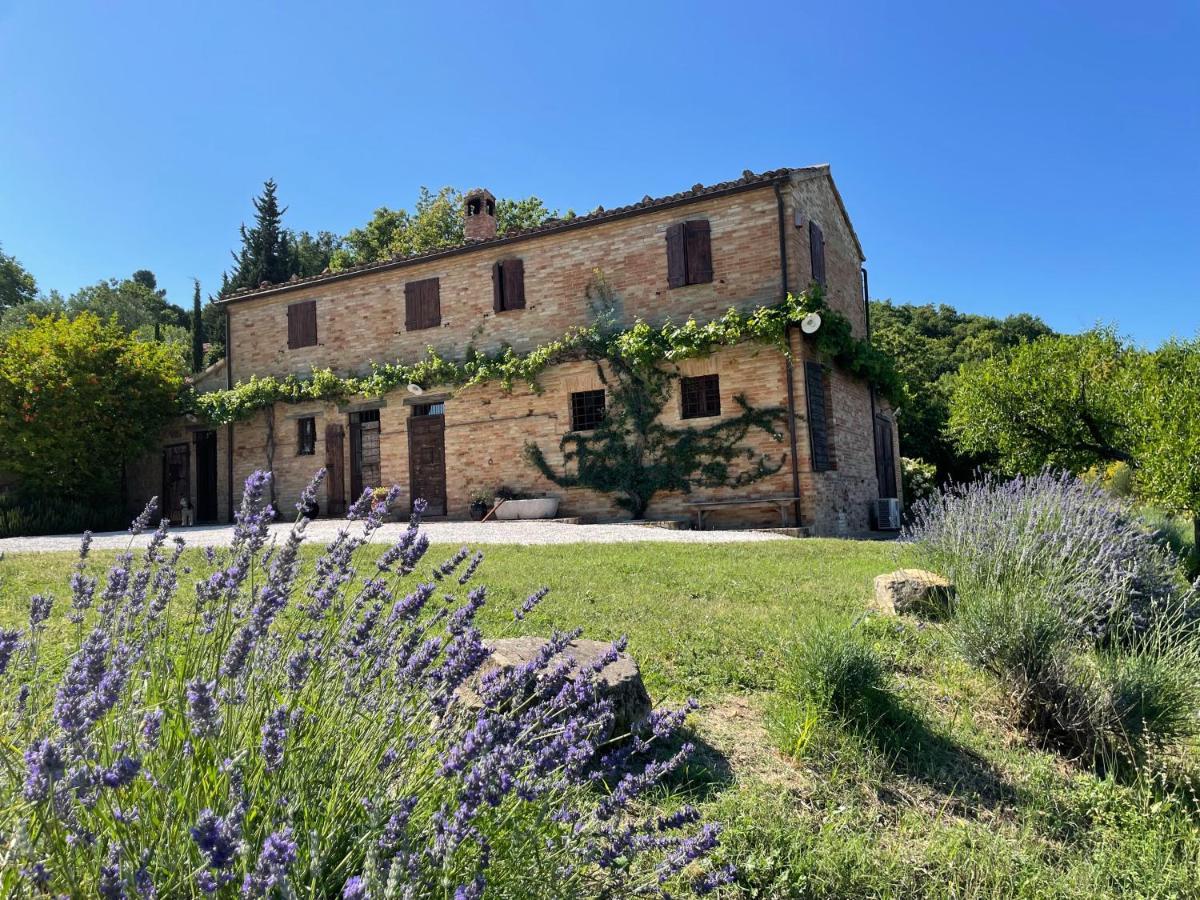 Bed and Breakfast L'Infinito à Mombaroccio Extérieur photo