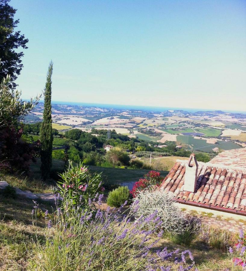 Bed and Breakfast L'Infinito à Mombaroccio Extérieur photo